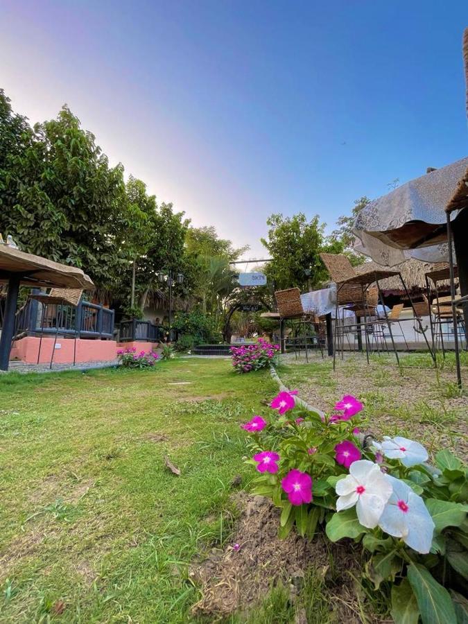 פאלומינו Bikini Hotel & Pool מראה חיצוני תמונה